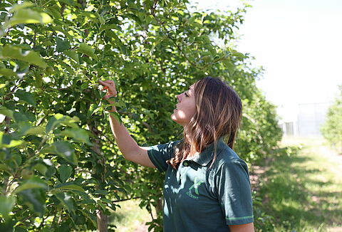 4 key benefits of biological crop protection