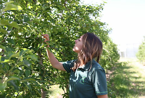 4 key benefits of biological crop protection