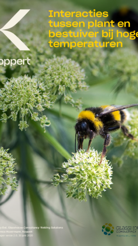 Onmisbare informatie over bestuiving bij hoge temperaturen