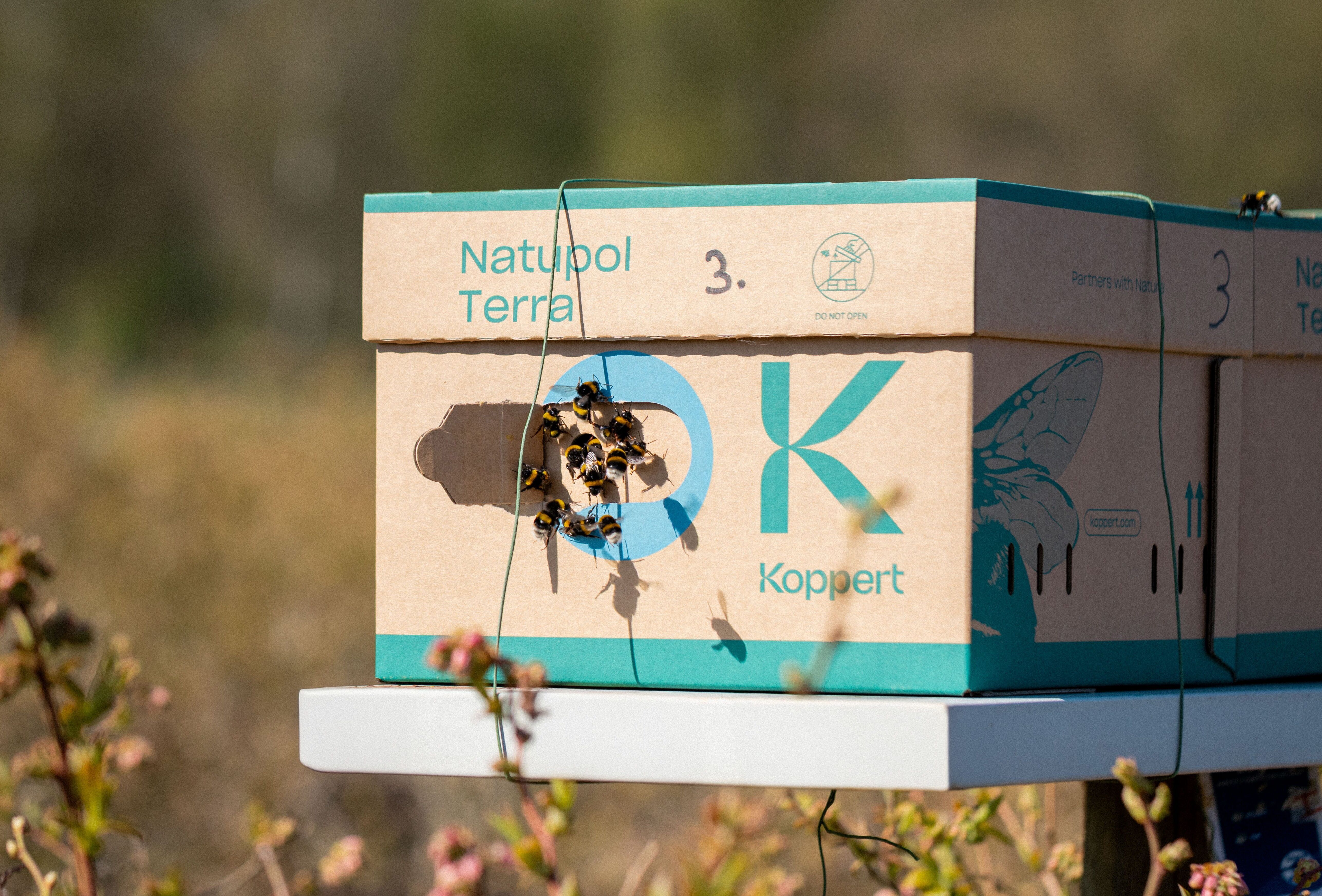 Gold Award for the sustainable Natupol Terra hive