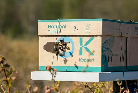 Gold Award for the sustainable Natupol Terra hive