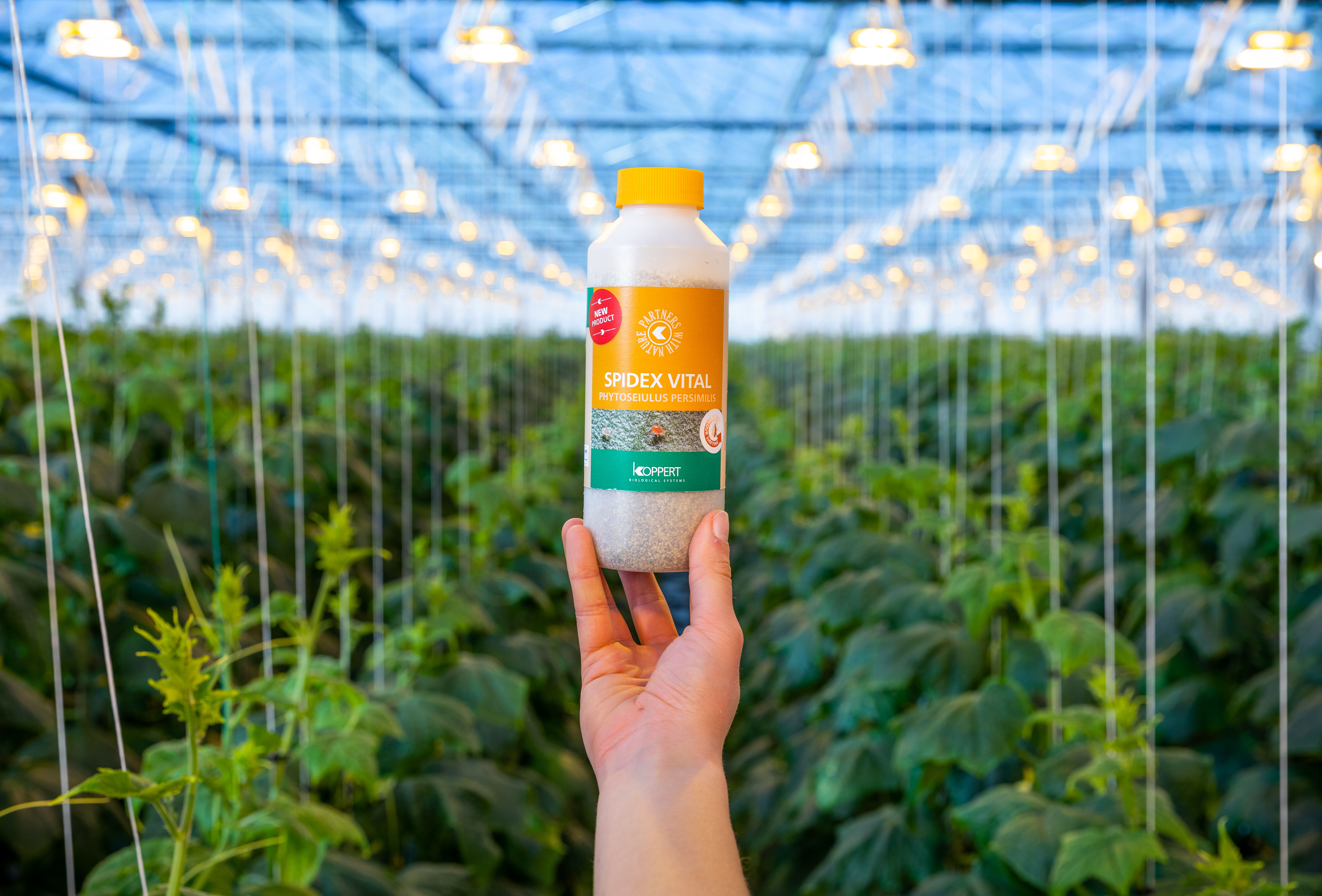 Spidex Vital: a game changer in spider mite control