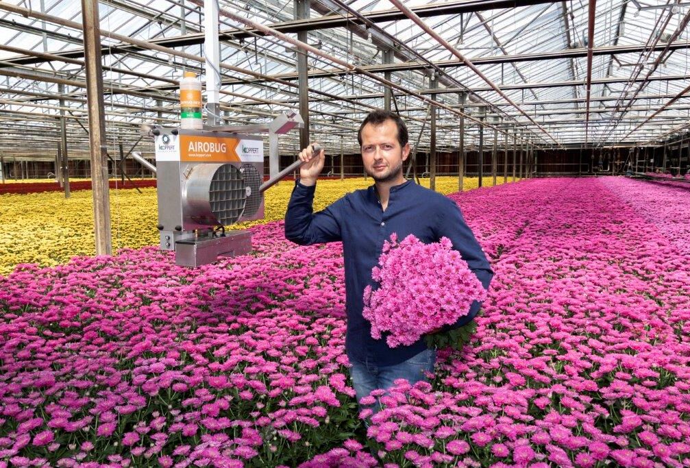 Gaining a market position in Western Europe from Italy's deep south