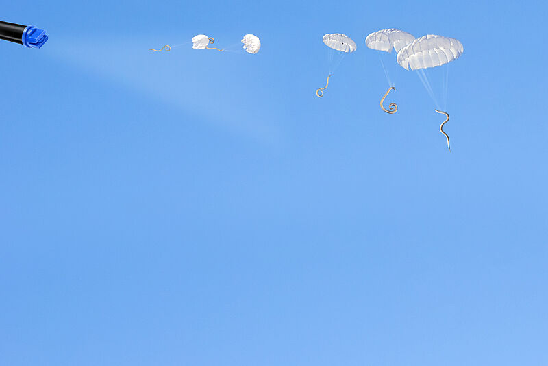 20200307_Koppert_-_Banner_Nematode_air_raid_-_promo_page.jpg