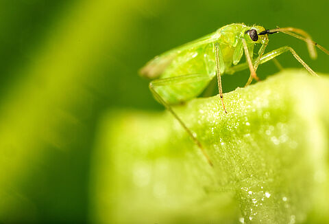 Simplifying and enhancing your crop protection