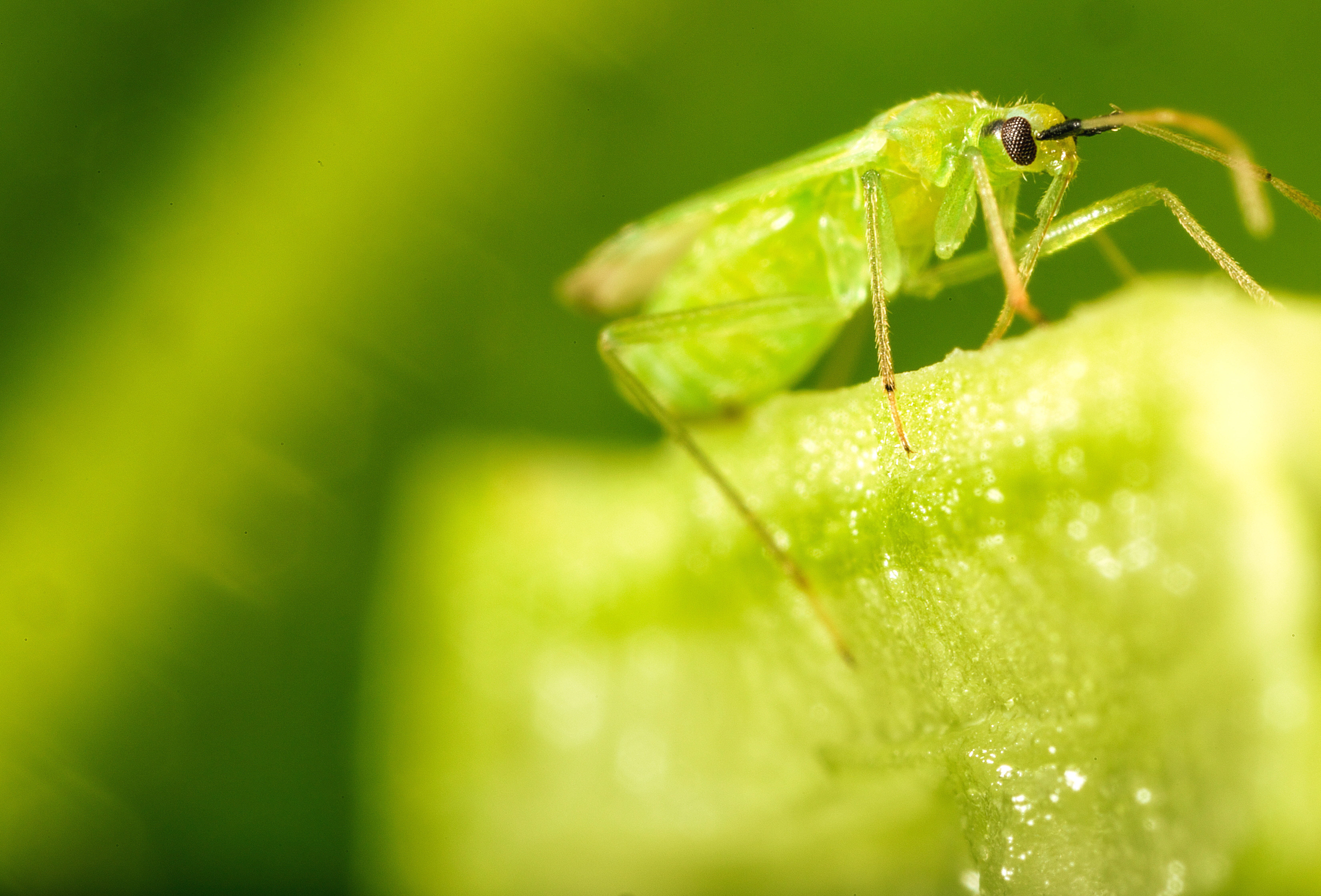 Simplifying and enhancing your crop protection