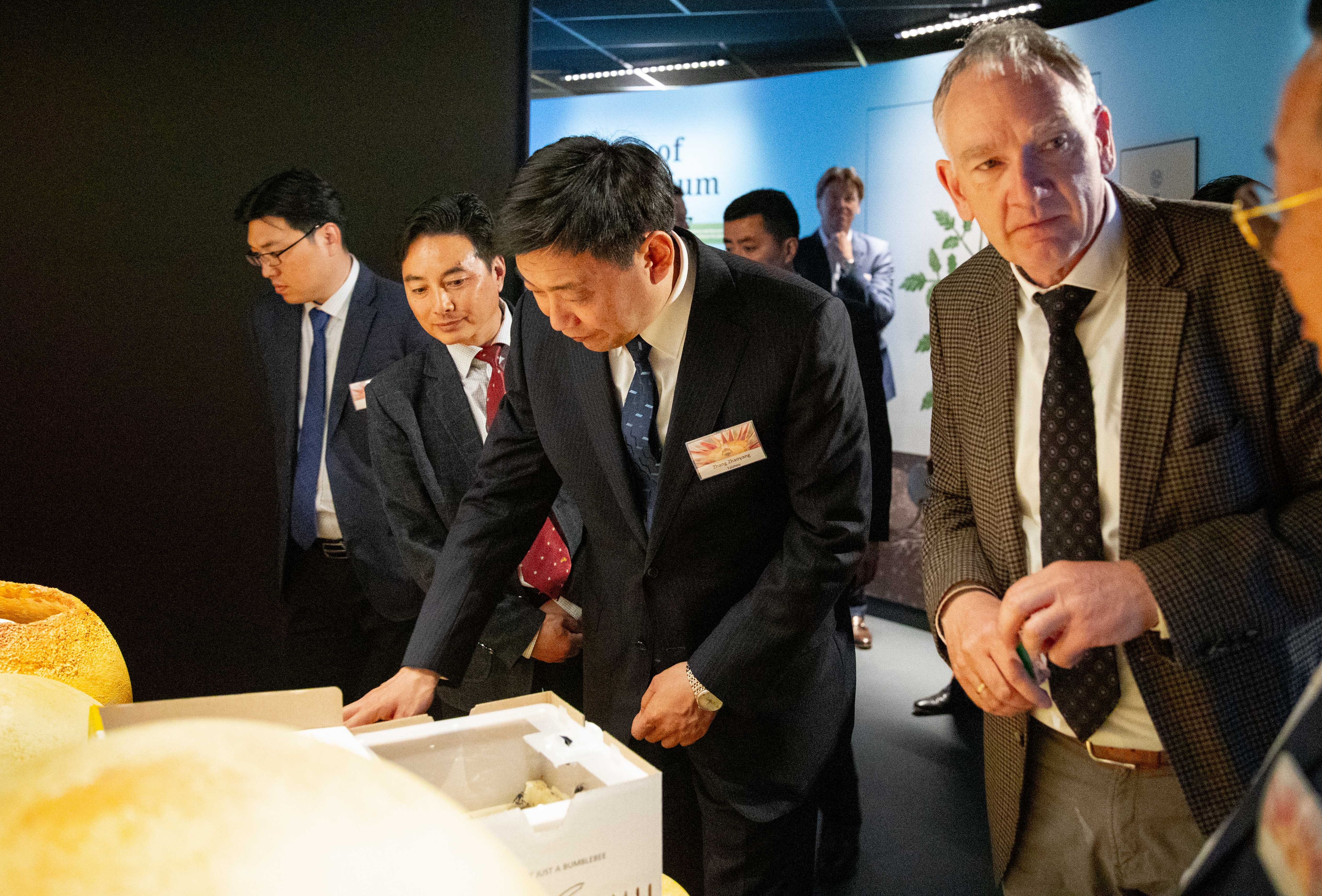 Chinese delegation visits Koppert