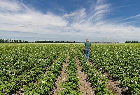 European biocontrol trials successful – more plants, healthier crops