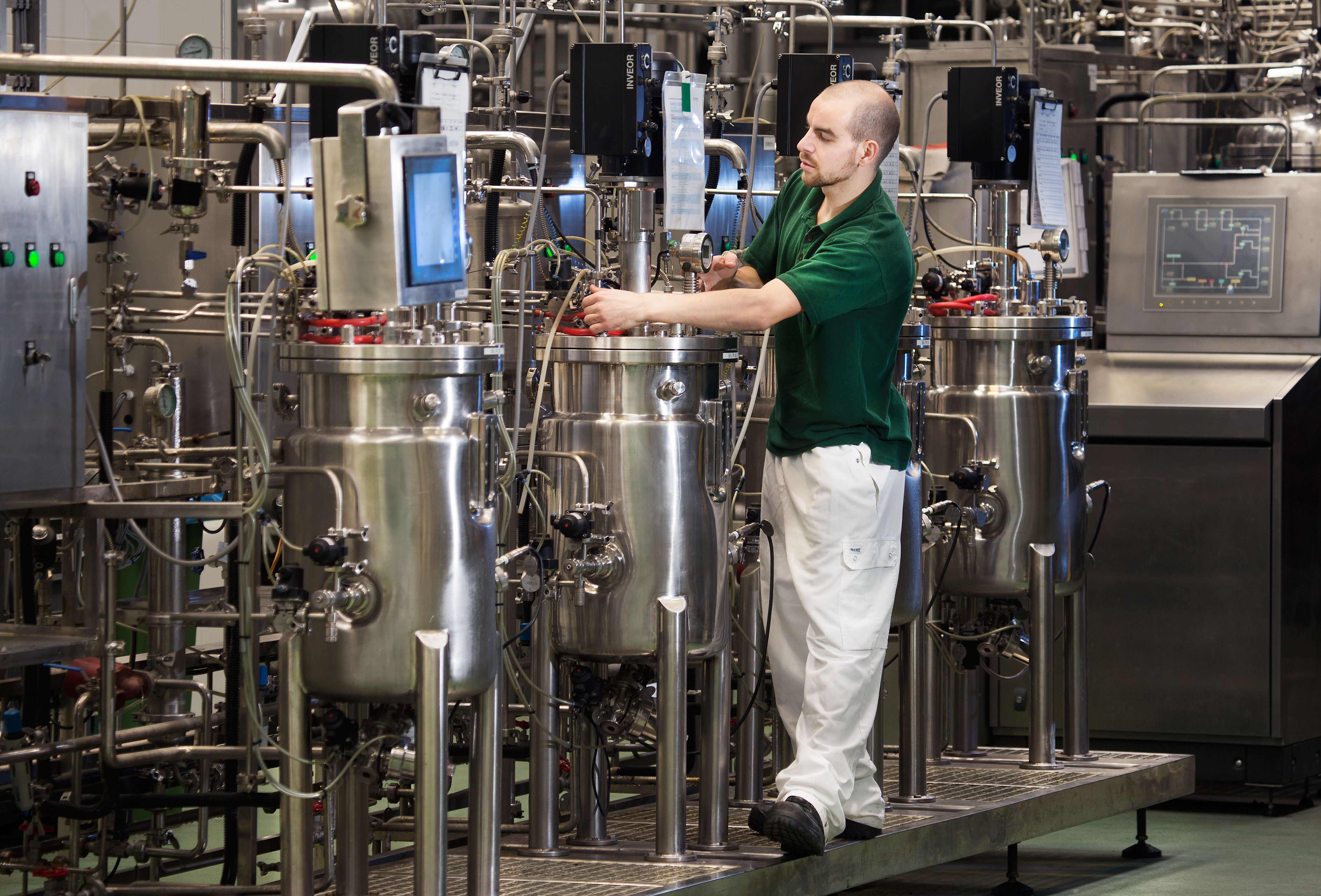 Producing Koppert’s ‘little heroes’ – nematodes for pest control