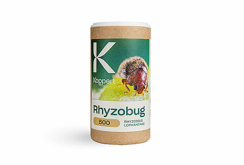 Rhyzobug