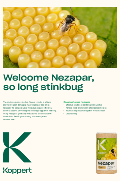 Effects of Nezapar
