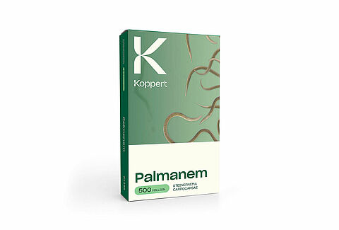 Palmanem