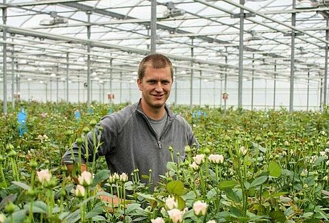 Limonica: an excellent method for keeping thrips in check