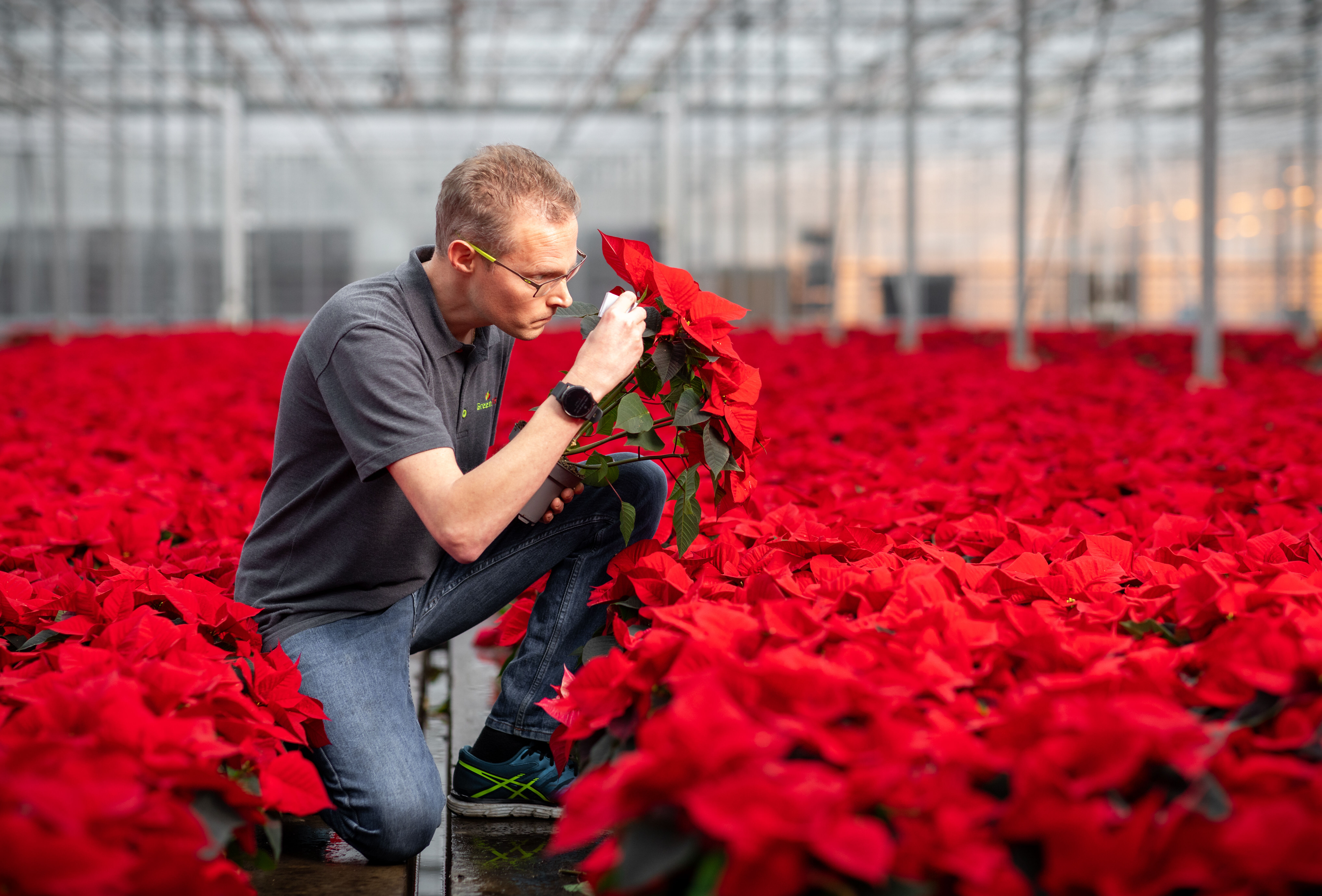 ‘Ornamental plant companies need to innovate more in plant protection’