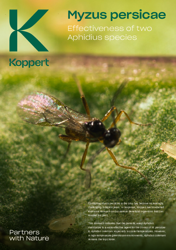 Effective control of Myzus persicae