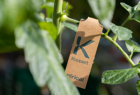 Mirical – optimal whitefly control with revolutionairy release system