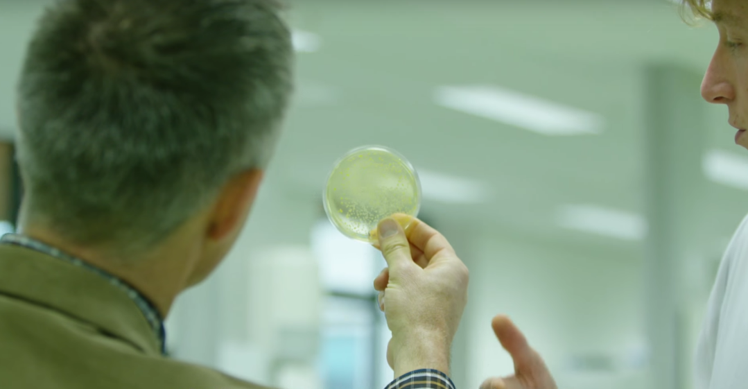 Collective innovation for a sustainable horticulture