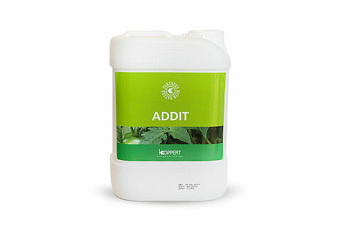 Apricot | Koppert Global