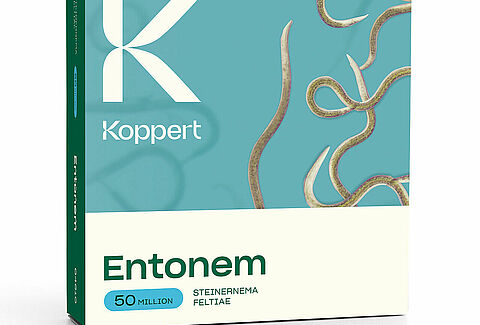 Entonem controls vine weevils at low temperatures