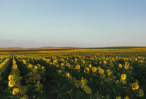Recognising the power of agriculture