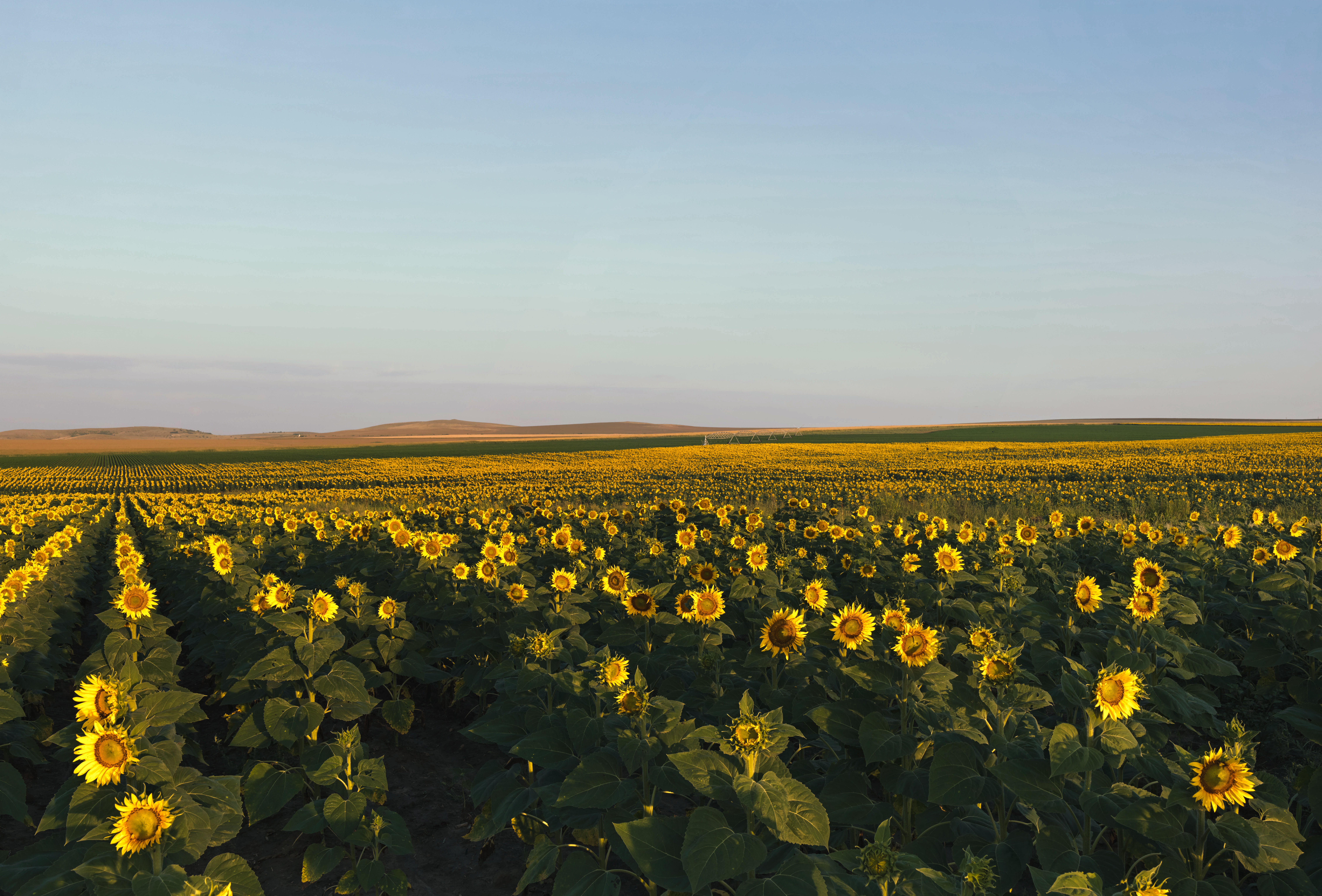 Recognising the power of agriculture