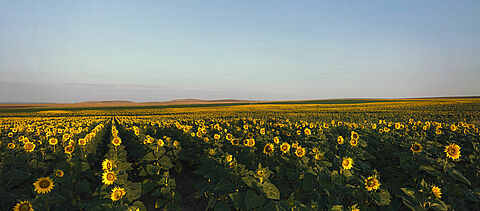 Recognising the power of agriculture