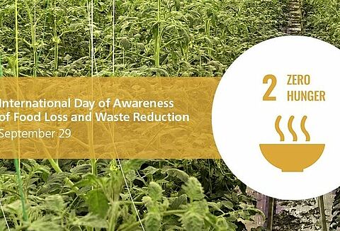 Global awareness of food loss and waste reduction