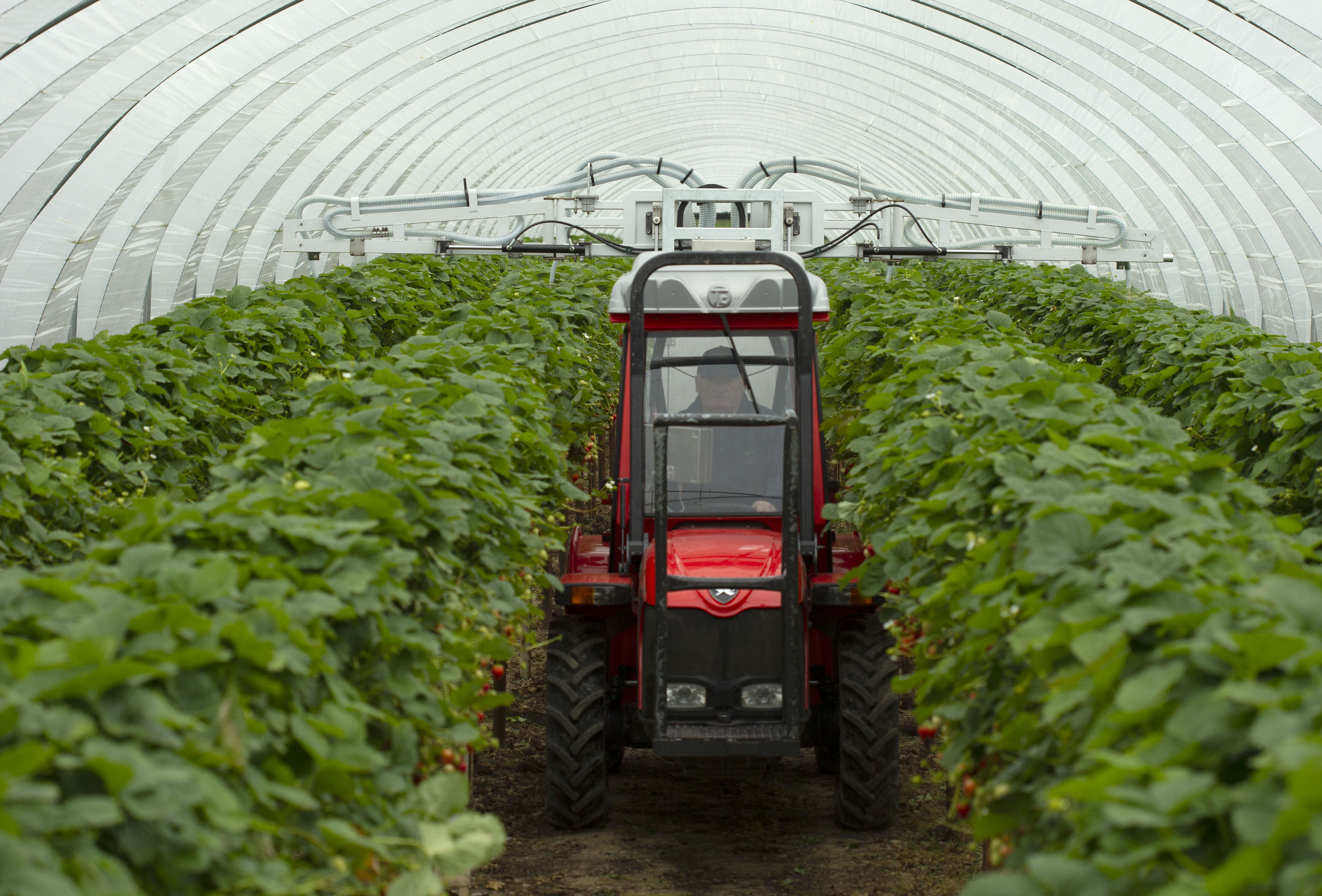 Natutec Drive – On the road to precision biological control