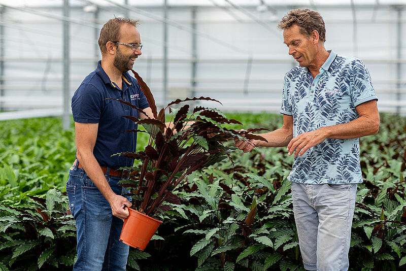 Arthur_Kalkman_Teun_Valstar_Koppert_Biological_Systems.jpg
