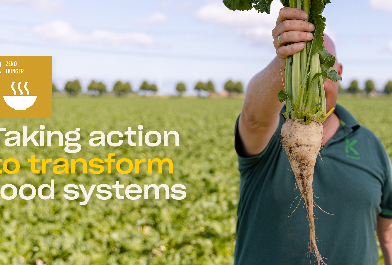 Combating food loss and waste: Taking action to transform food systems