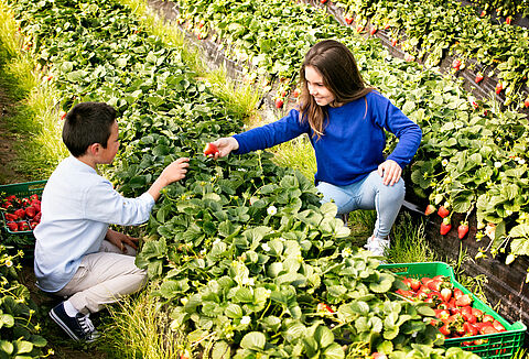 European biocontrol industry proposes new EU regulatory framework