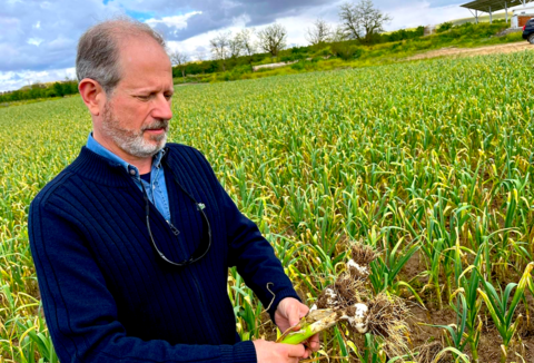 Koppert offers the safest biological alternative for new challenges in agriculture at the Fruit Attraction in Madrid