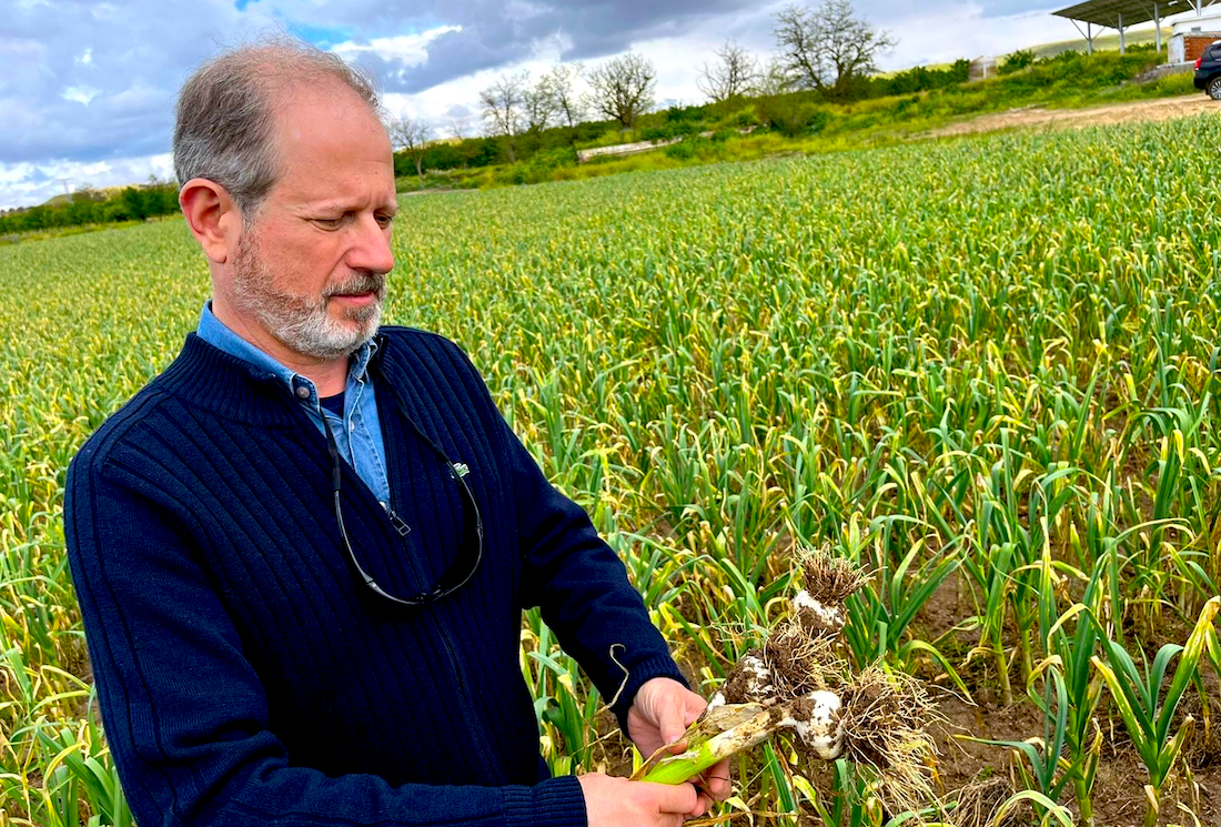 Koppert offers the safest biological alternative for new challenges in agriculture at the Fruit Attraction in Madrid