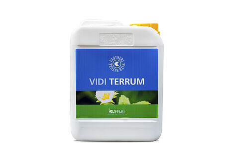 Vidi Terrum