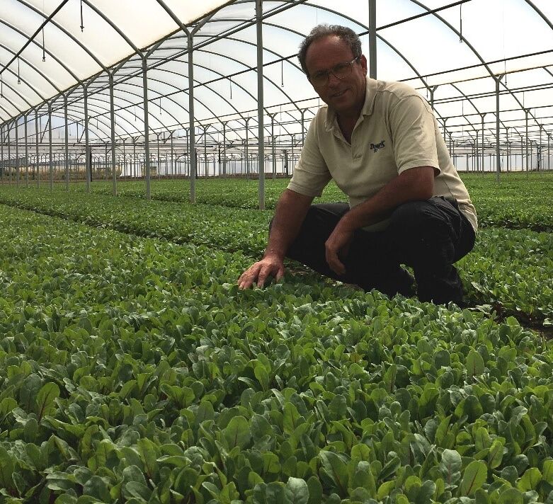 Excellent results with Trianum-P: ‘The yield is above average’