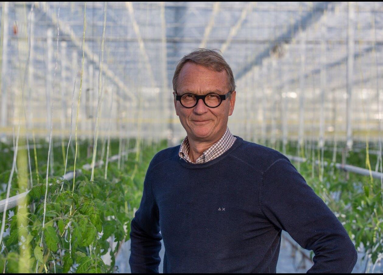 ‘Impressive performances in the Netherlands, but marketing is lagging’