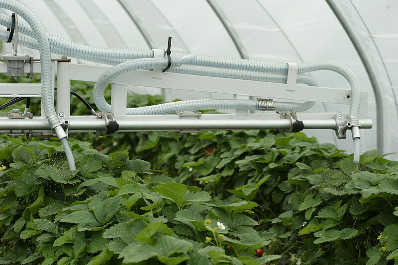 AG1O0063.JPG