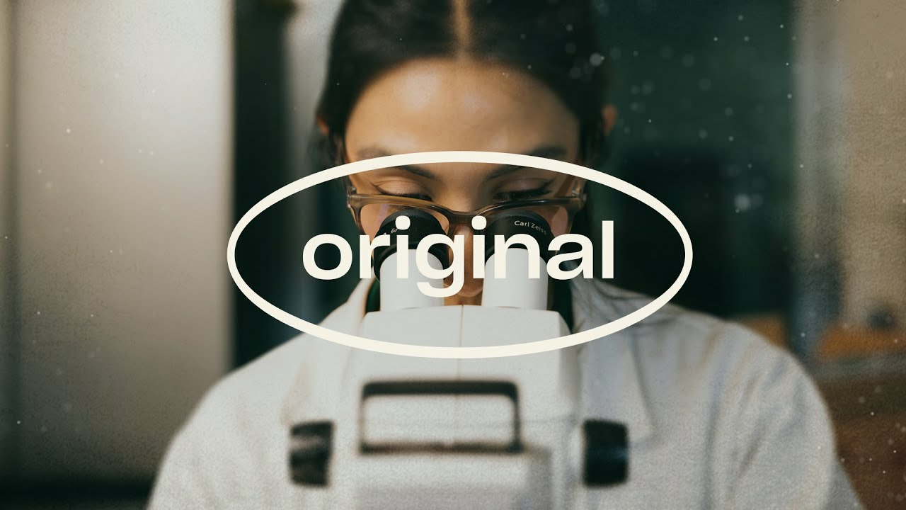 Bertha Marίa Toledo commitment to biological excellence - Original Stories about Predatory Mites