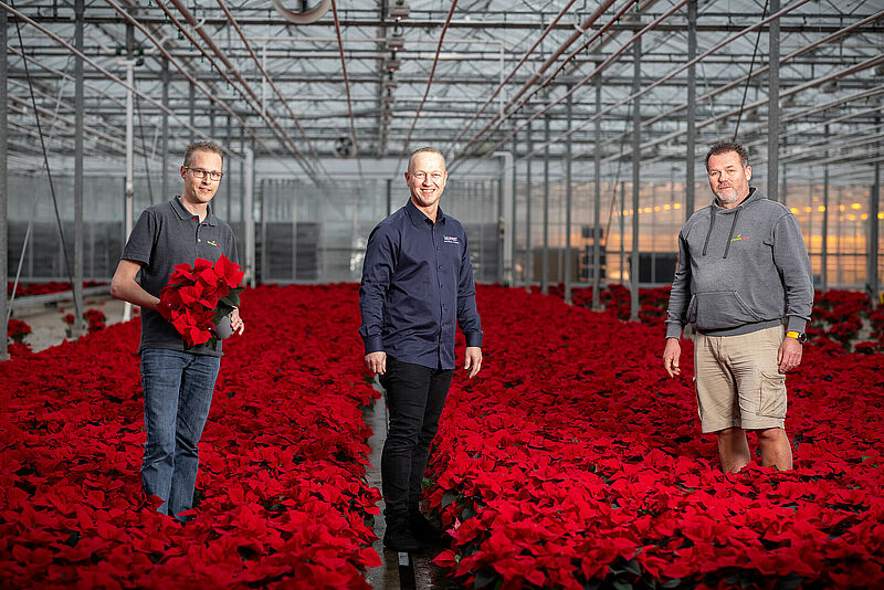 Green_05_Poinsettia_s_Koppert_Biological_Systems-3.jpg