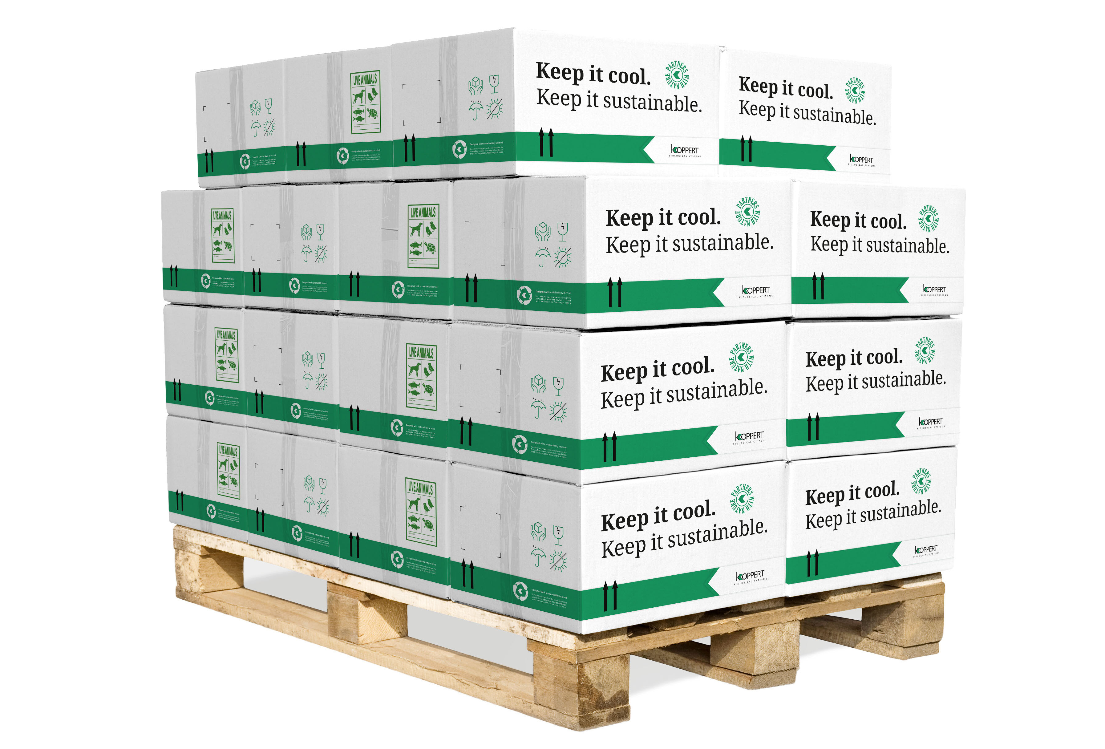 Upgrade Eco-friendly Coolbox delivers