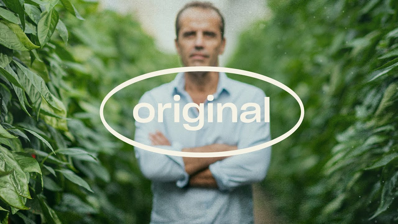 Kris de Smet on predatory mites as a game-changer for horticulture in Almería - Original Stories