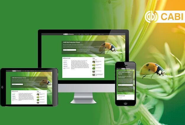 Koppert collaborates to launch free biocontrol tool