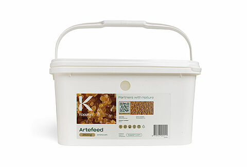 Artefeed