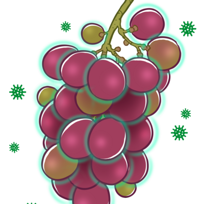 Protectant activity