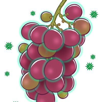 Protectant activity