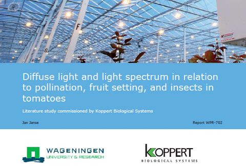 Research diffuse light and pollination