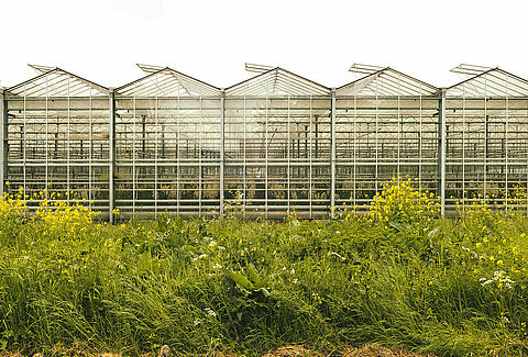 Biodiversity: Research into our positive impact on nature