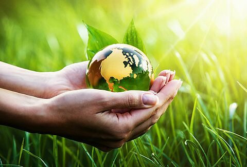 At Koppert, every day is Earth Day