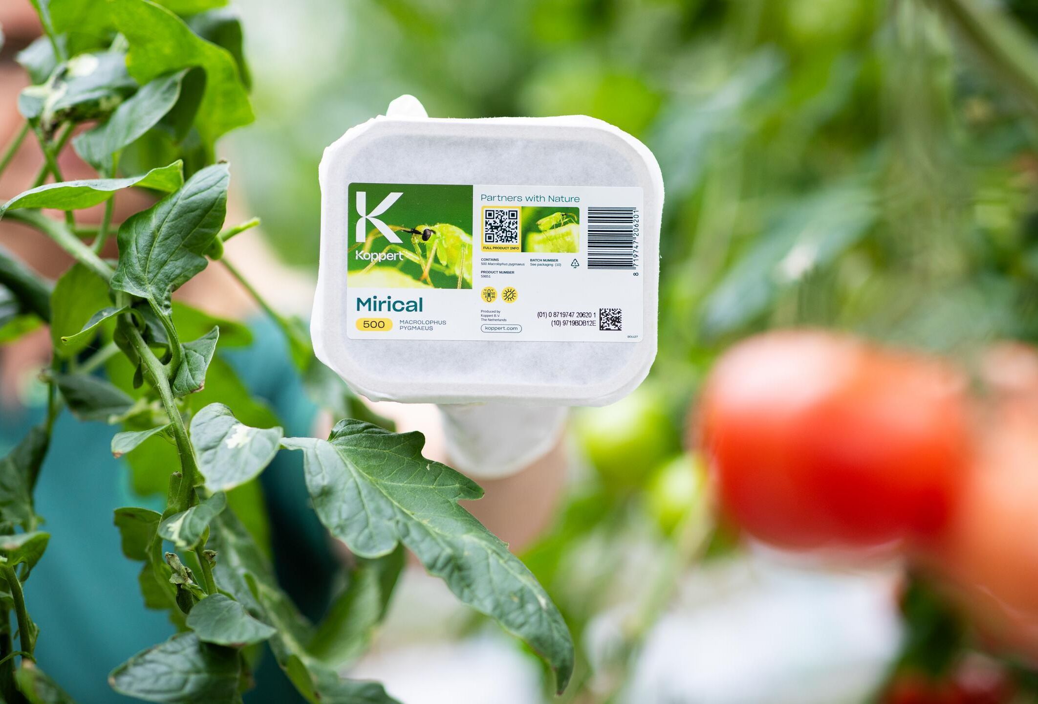 Step towards future-ready packaging