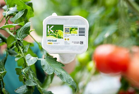 Step towards future-ready packaging